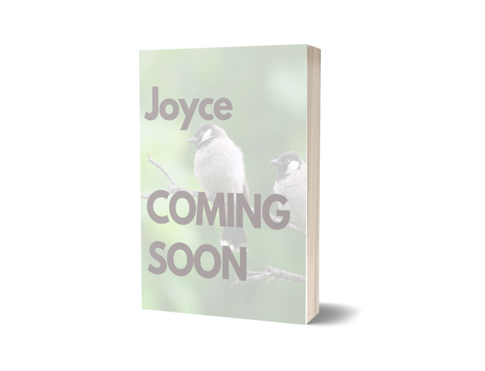 dark crip magical realism novella