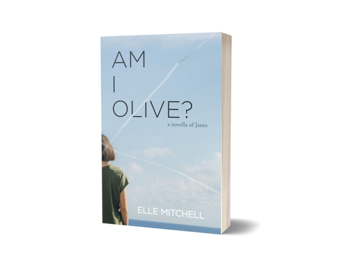 psychological fiction novella / Janes #2