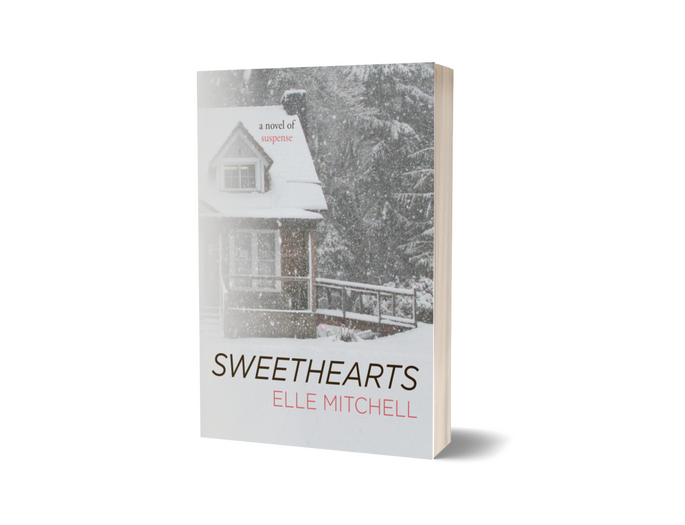 psych suspense novel